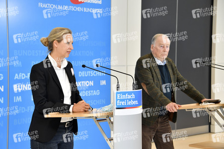 Pressestatement der AfD in Berlin