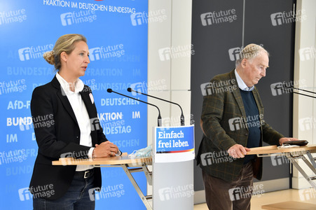 Pressestatement der AfD in Berlin