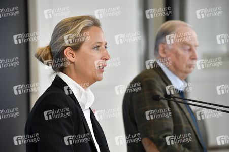 Pressestatement der AfD in Berlin