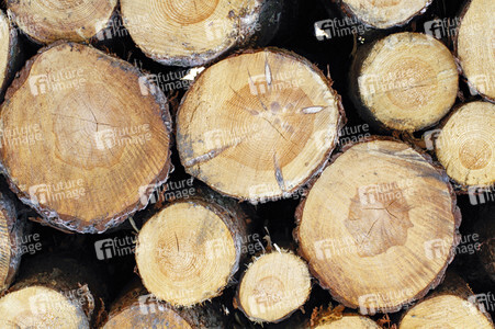 Symbolfoto Holzknappheit