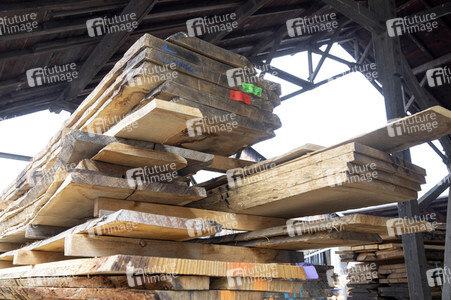 Symbolfoto Holzknappheit