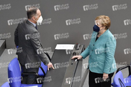 229. Sitzung des Deutschen Bundestages in Berlin