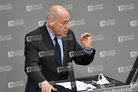 229. Sitzung des Deutschen Bundestages in Berlin