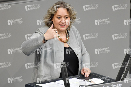 231. Sitzung des Deutschen Bundestages in Berlin