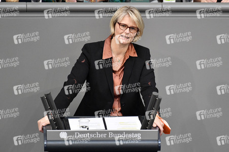 231. Sitzung des Deutschen Bundestages in Berlin