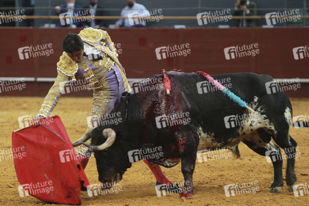 Stierkampf in Madrid