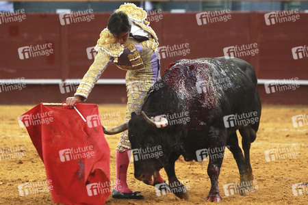 Stierkampf in Madrid
