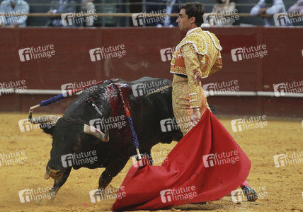Stierkampf in Madrid