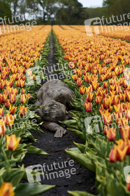 NATURE ART: Tulpenfeld / Tulip Field Bodypainting