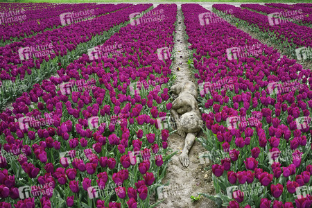 NATURE ART: Tulpenfeld / Tulip Field Bodypainting