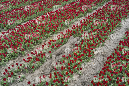 NATURE ART: Tulpenfeld / Tulip Field Bodypainting