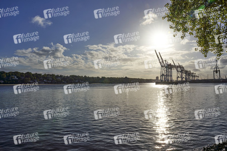 Containerterminal Burchardkai in Hamburg