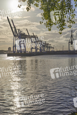 Containerterminal Burchardkai in Hamburg
