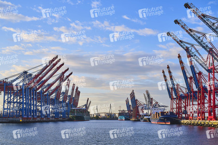 Containerterminal Burchardkai in Hamburg