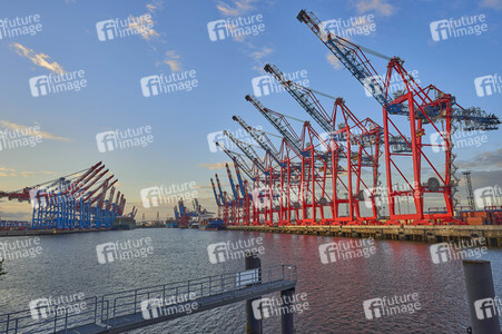 Containerterminal Burchardkai in Hamburg