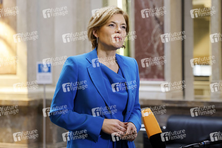 1005. Plenarsitzung des Bundesrates in Berlin
