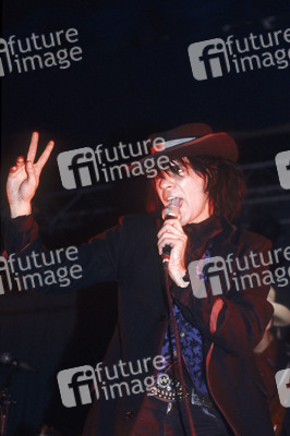 Konzert von Wall of Voodoo in London