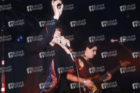 Konzert von Wall of Voodoo in London