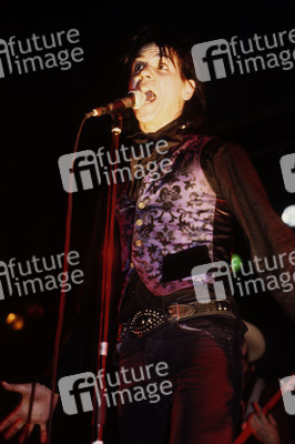 Konzert von Wall of Voodoo in London