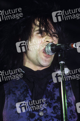 Konzert von Wall of Voodoo in London