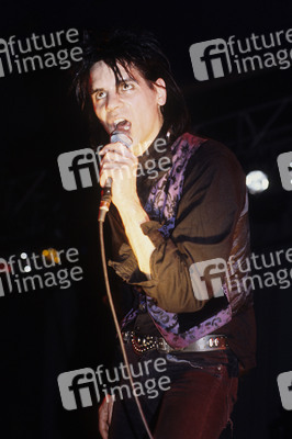 Konzert von Wall of Voodoo in London