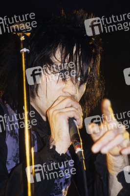 Konzert von Wall of Voodoo in London