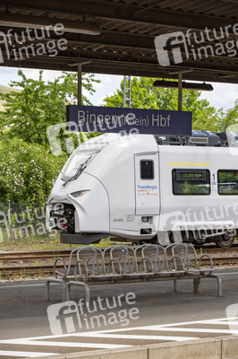 Der Hauptbahnhof in Bingen
