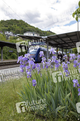 Der Hauptbahnhof in Bingen