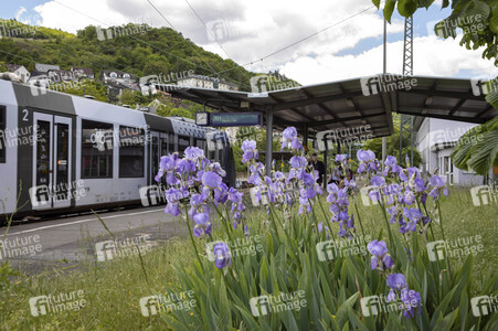 Der Hauptbahnhof in Bingen
