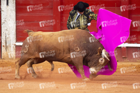 Bullfight by the bullfighters Morante de la Puebla, Daniel Luque