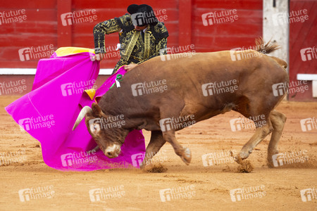 Bullfight by the bullfighters Morante de la Puebla, Daniel Luque