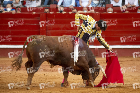 Bullfight by the bullfighters Morante de la Puebla, Daniel Luque