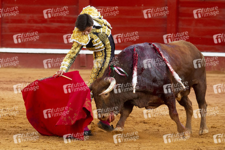 Bullfight by the bullfighters Morante de la Puebla, Daniel Luque