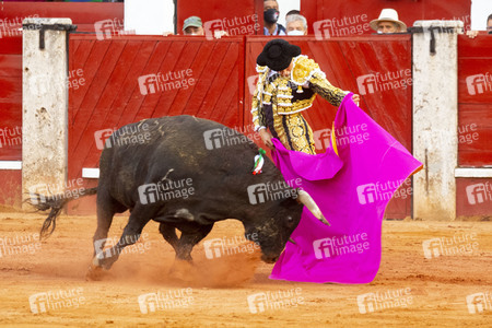Bullfight by the bullfighters Morante de la Puebla, Daniel Luque