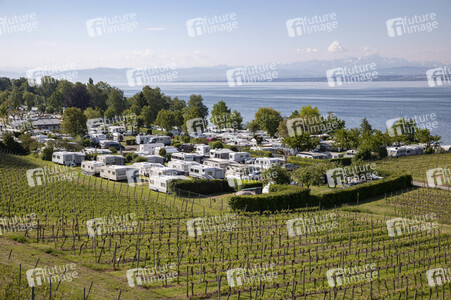 Vollbesetzter Campingplatz in Hagnau am Bodensee