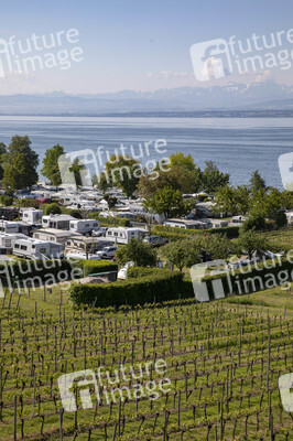 Vollbesetzter Campingplatz in Hagnau am Bodensee