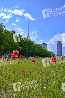 Begrünter Mittelstreifen auf der Karl-Marx-Allee in Berlin