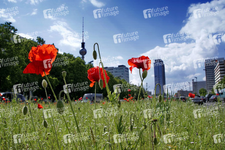 Begrünter Mittelstreifen auf der Karl-Marx-Allee in Berlin