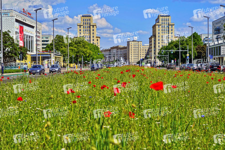 Begrünter Mittelstreifen auf der Karl-Marx-Allee in Berlin