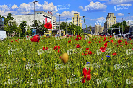 Begrünter Mittelstreifen auf der Karl-Marx-Allee in Berlin
