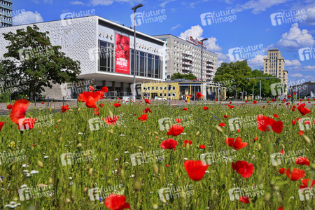 Begrünter Mittelstreifen auf der Karl-Marx-Allee in Berlin