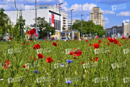 Begrünter Mittelstreifen auf der Karl-Marx-Allee in Berlin