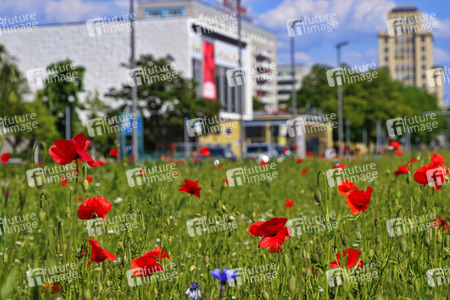 Begrünter Mittelstreifen auf der Karl-Marx-Allee in Berlin