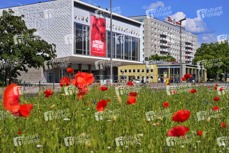 Begrünter Mittelstreifen auf der Karl-Marx-Allee in Berlin