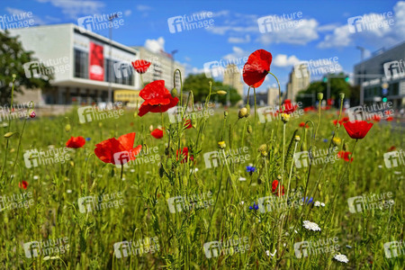 Begrünter Mittelstreifen auf der Karl-Marx-Allee in Berlin