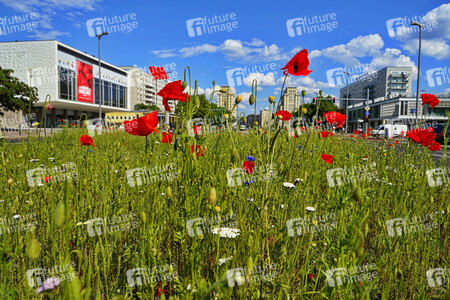 Begrünter Mittelstreifen auf der Karl-Marx-Allee in Berlin
