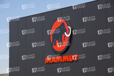 Symbolfoto Mammut