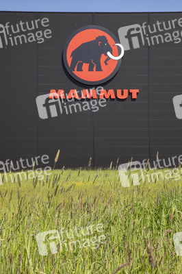 Symbolfoto Mammut