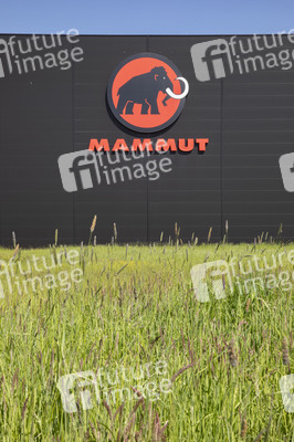 Symbolfoto Mammut