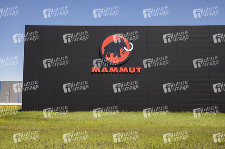 Symbolfoto Mammut